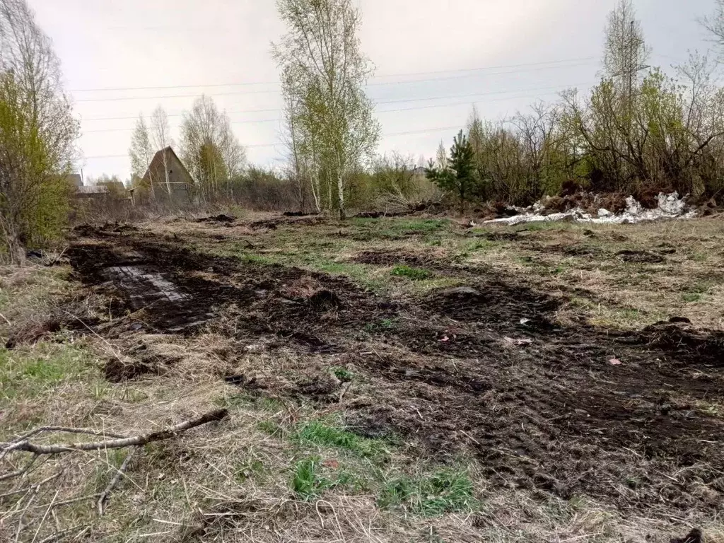 Участок в Новосибирская область, Новосибирск Сибиряк-2 СТ,  (5.0 сот.) - Фото 1