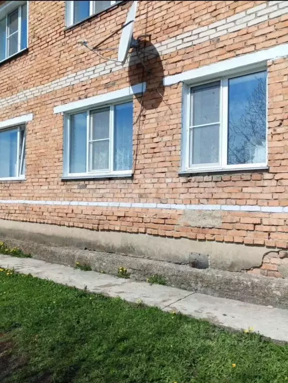 1-к кв. Алтайский край, с. Ельцовка ул. Ульяновская, 11 (26.2 м) - Фото 1