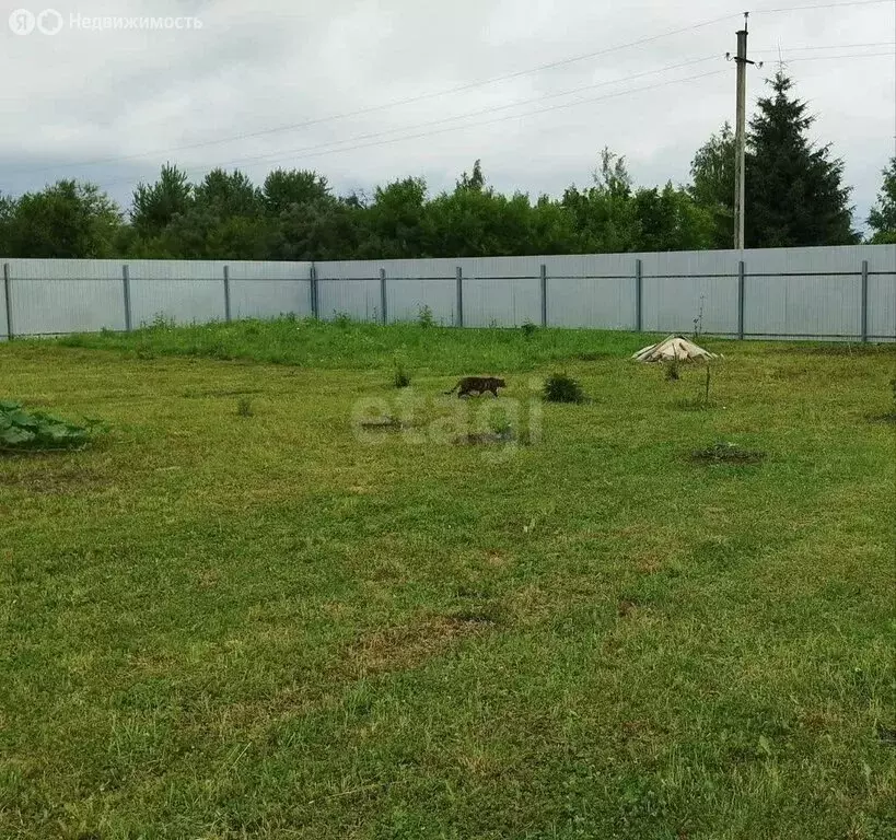 Участок в Костромской район, Бакшеевское сельское поселение, СНТ ... - Фото 1