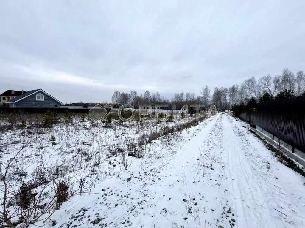 Участок в Тюменская область, Тюменский район, Новокаменский кп  (10.0 ... - Фото 1