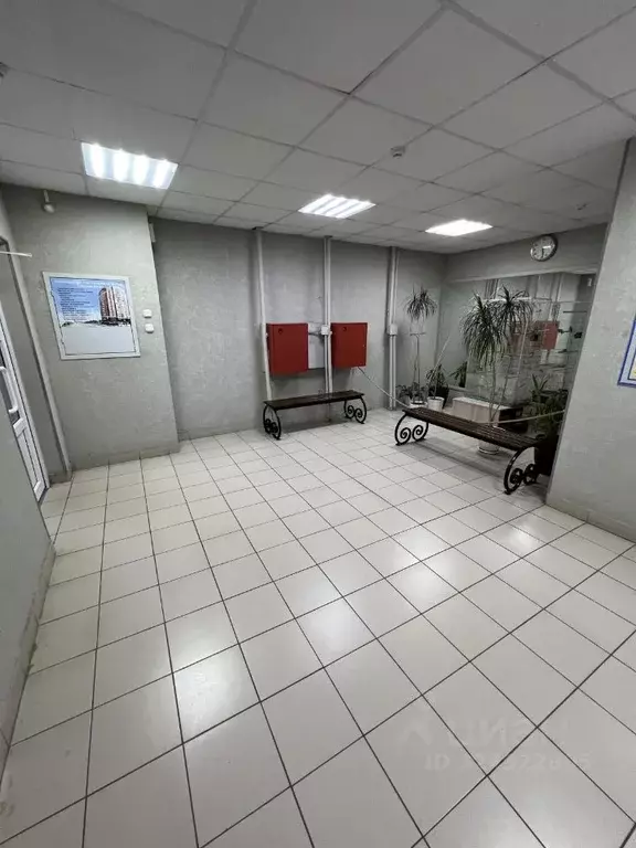 2-к кв. Омская область, Омск Омская ул., 114к2 (50.0 м) - Фото 2