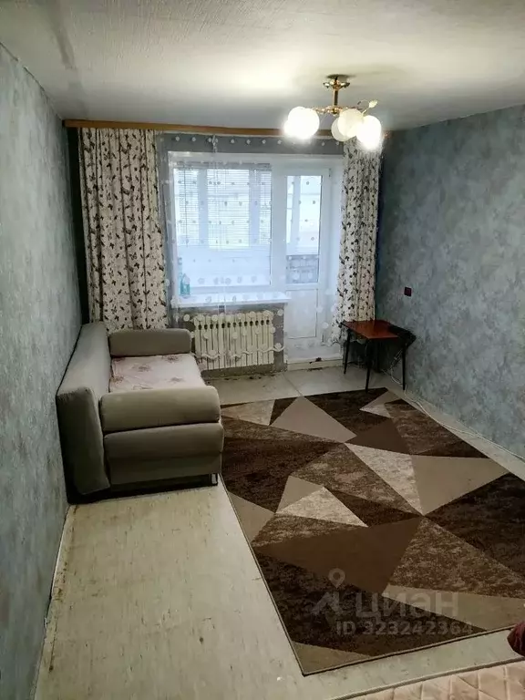 1-к кв. Нижегородская область, Арзамас городской округ, с. Чернуха  ... - Фото 1