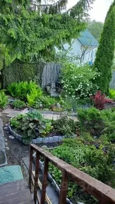 Дом в Псковская область, Псковский район, Ядровская волость, Заря СНТ  ... - Фото 2