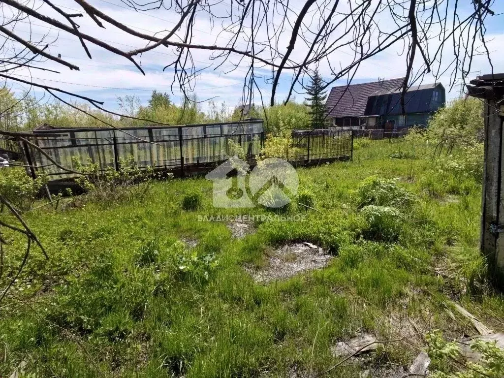 Дом в Новосибирская область, Новосибирск Лилия СНТ, 633 (27 м) - Фото 1