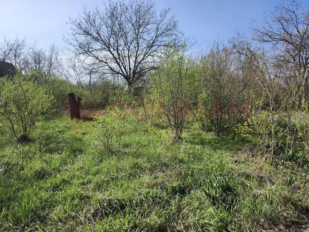 Участок в Ростовская область, Новочеркасск Дачная ул., 5 (8.0 сот.) - Фото 0