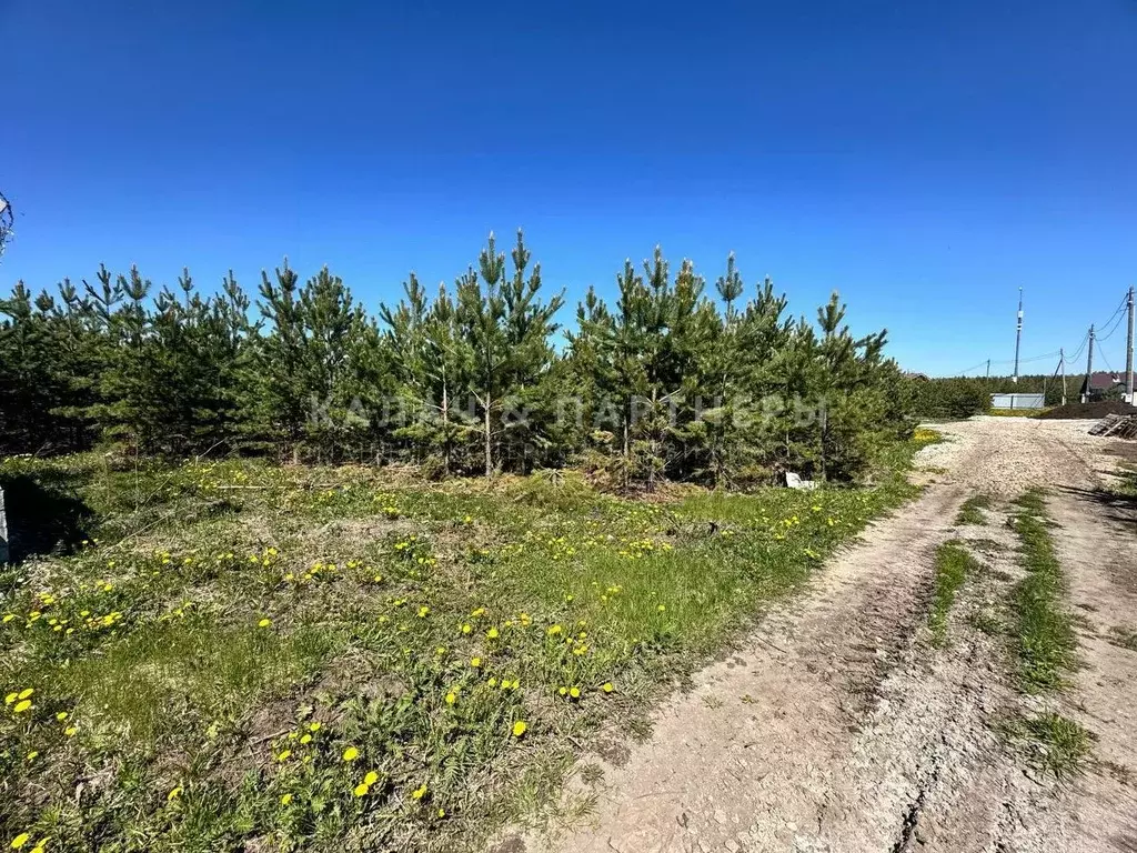 Участок в Свердловская область, Белоярский муниципальный округ, ... - Фото 2