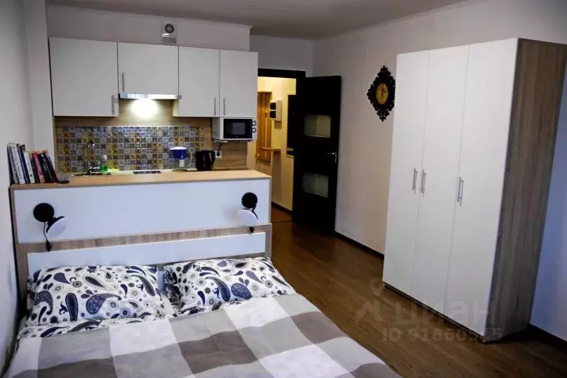 1-к кв. Санкт-Петербург просп. Энергетиков, 9 (25.0 м) - Фото 1