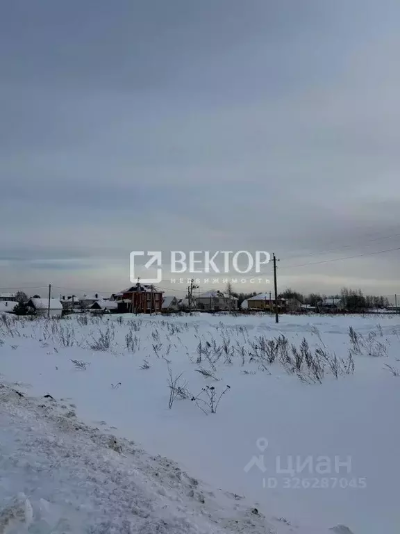 Участок в Костромская область, Костромской район, Шунгенское с/пос, д. ... - Фото 2