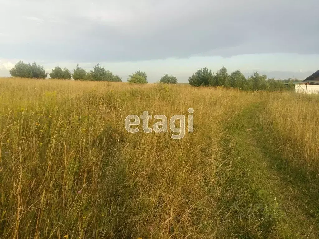 Участок в Калужская область, Тарусский район, Похвиснево с/пос, д. ... - Фото 2
