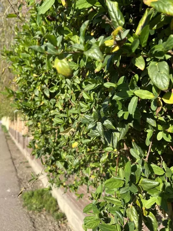 Дом в Краснодарский край, Краснодар ул. Курортный Поселок (112 м) - Фото 2