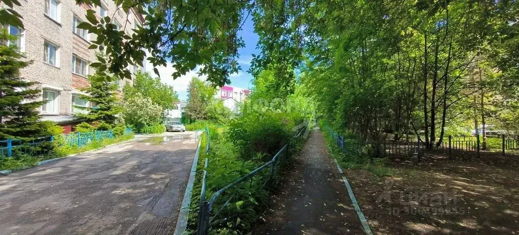 Комната Новосибирская область, Новосибирск просп. Димитрова, 14 (12.2 ... - Фото 0