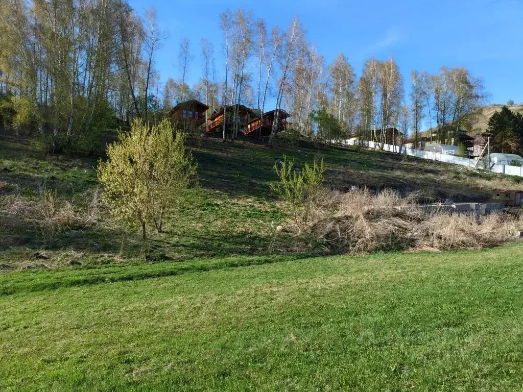 Дом в Алтайский край, Алтайский район, с. Нижнекаянча ул. Усть-Уба, 96 ... - Фото 1
