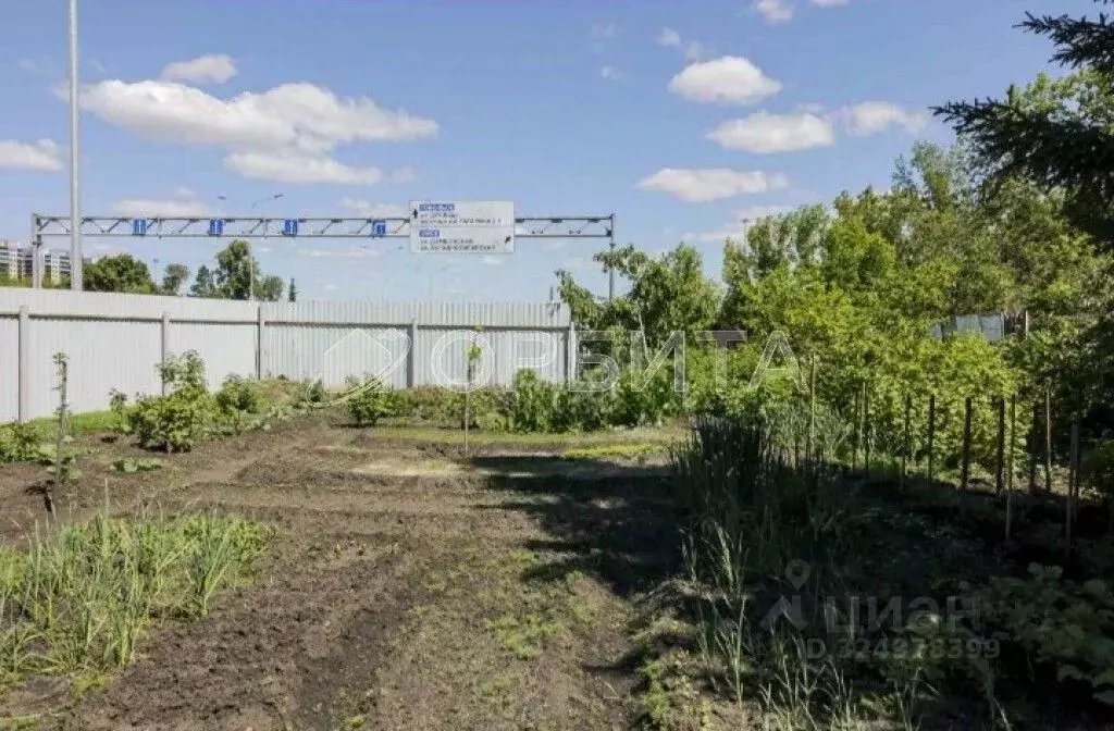 Участок в Тюменская область, Тюмень Курская ул., 12 (10.96 сот.) - Фото 1