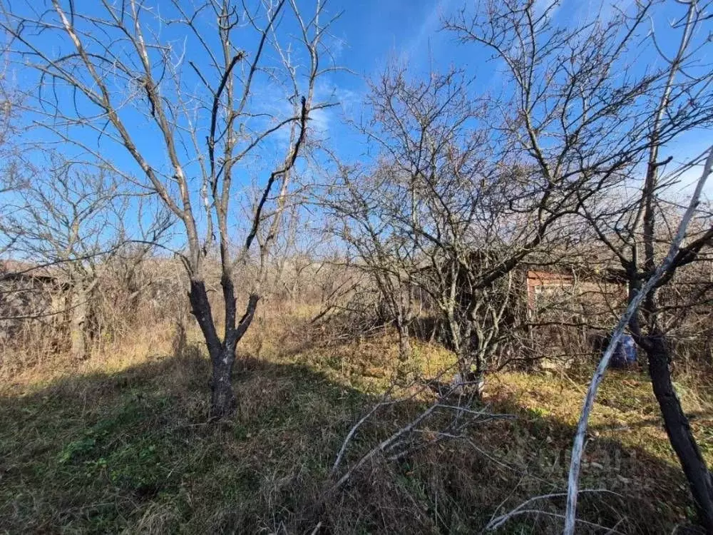 Участок в Ставропольский край, Предгорный муниципальный округ, пос. ... - Фото 2