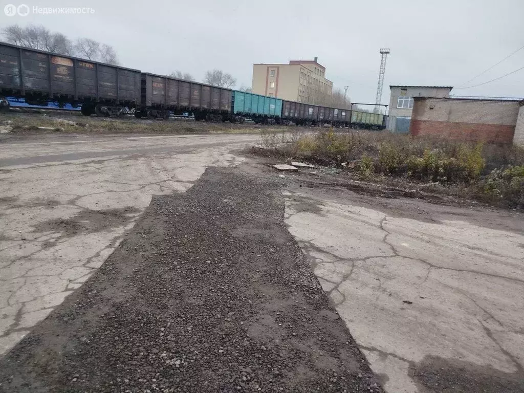 Склад (218 м) - Фото 1