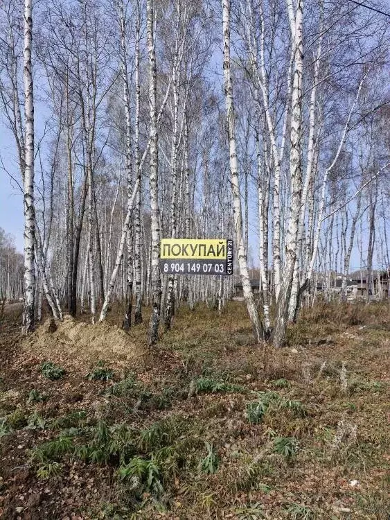 Участок в Иркутская область, Иркутский муниципальный округ, пос. Новая ... - Фото 2