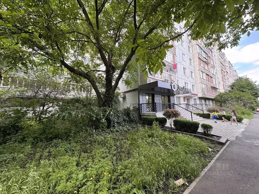 Торговая площадь в Северная Осетия, Владикавказ просп. Доватора, 27 ... - Фото 1
