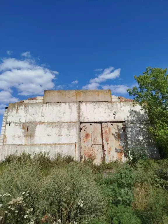 Помещение свободного назначения в Белгородская область, ... - Фото 1