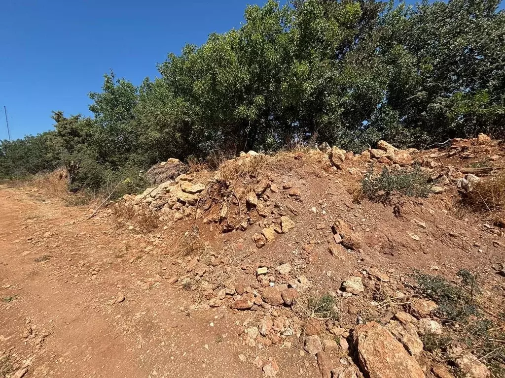 Участок в Севастополь Планер садоводческое товарищество, 14 (5.6 сот.) - Фото 1