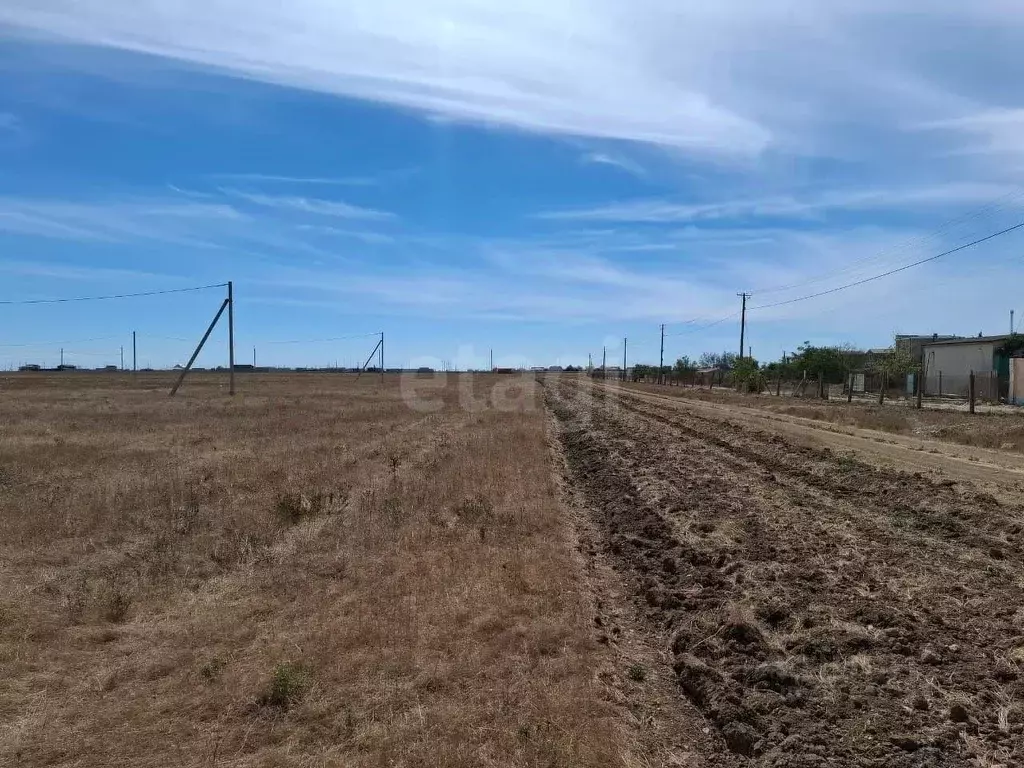 Участок в Крым, Сакский район, Молочненское с/пос, с. Витино  (6.0 ... - Фото 1