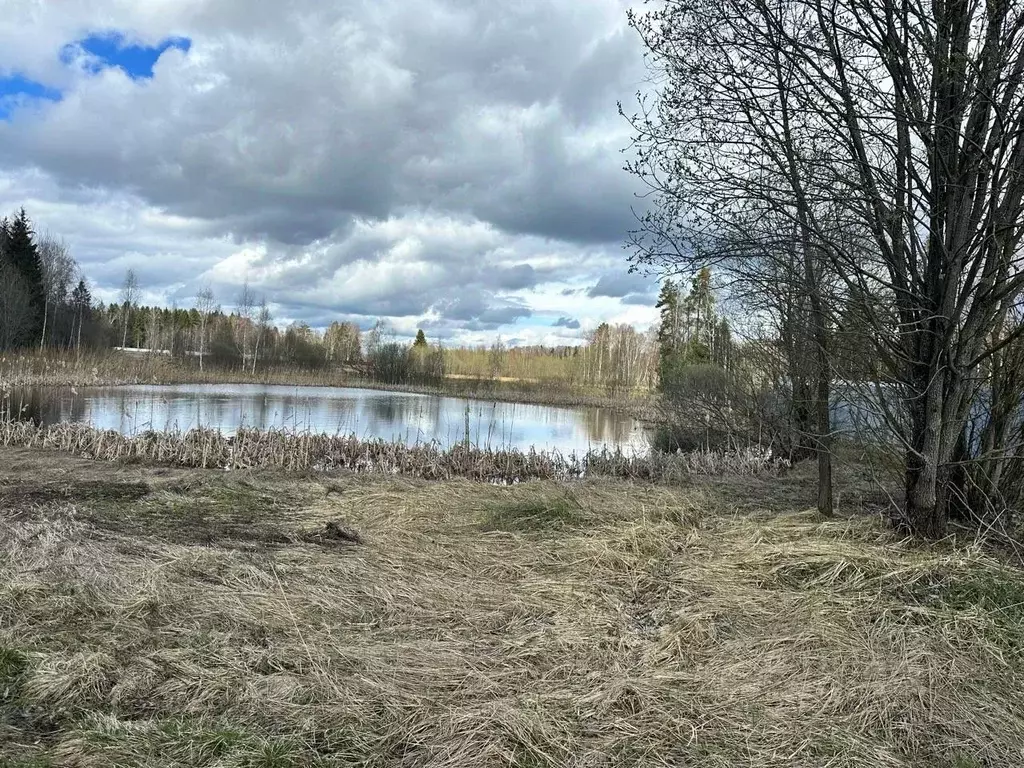 Участок в Московская область, Истра городской округ, д. Новораково  ... - Фото 0