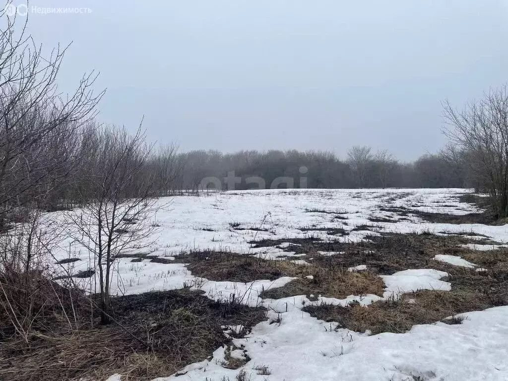 Участок в хутор Дубравка, Дачная улица (15 м) - Фото 2