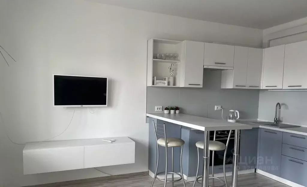 Студия Алтайский край, Барнаул ул. Малахова, 54 (29.0 м) - Фото 1