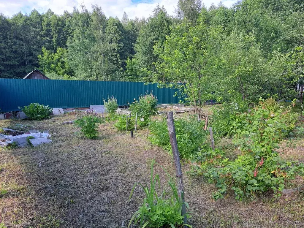 Участок в Нижегородская область, Володарский муниципальный округ, ... - Фото 2