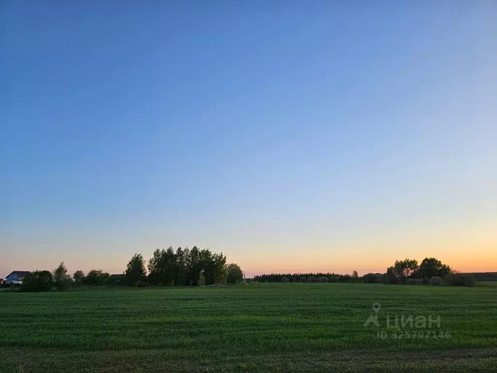 Участок в Московская область, Ступино городской округ, д. Большое ... - Фото 1