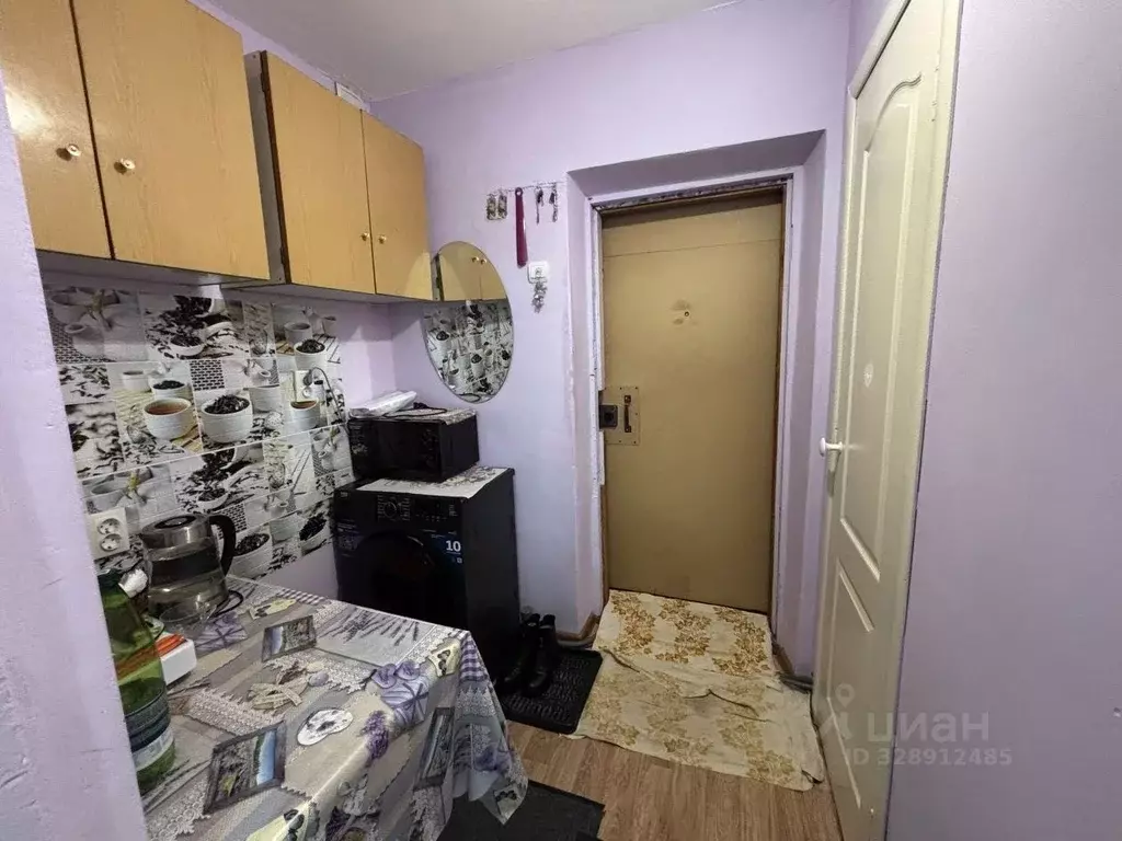 1-к кв. Нижегородская область, Бор ул. Чугунова, 12 (19.0 м) - Фото 1