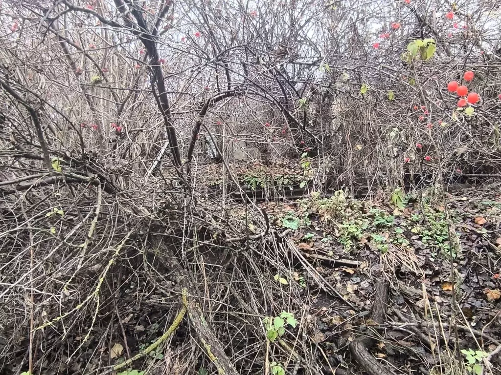 Участок в Татарстан, Набережные Челны Кама СНТ, 353 (4.44 сот.) - Фото 2