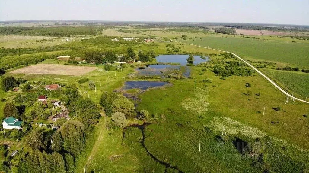 Участок в Тульская область, Заокский район, Демидовское с/пос, д. ... - Фото 1