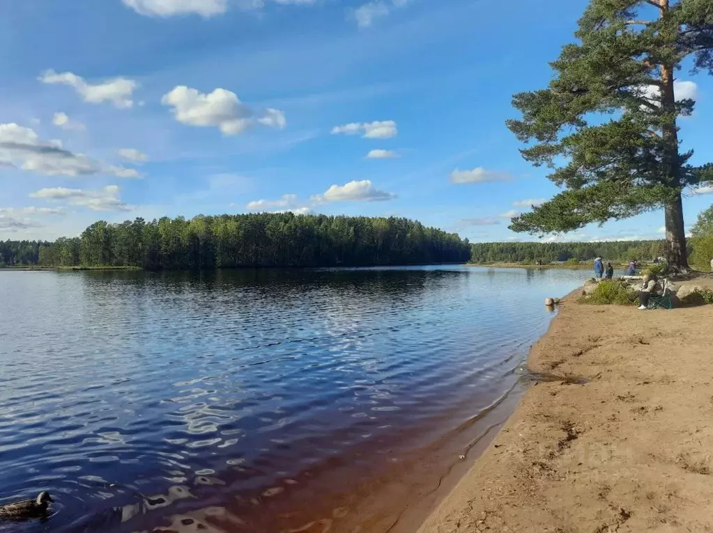 Участок в Ленинградская область, Всеволожский район, Юкковское с/пос, ... - Фото 1
