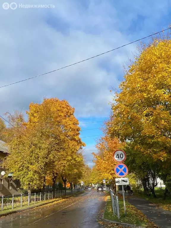 1-комнатная квартира: Кировск, улица Горького, 10 (30.2 м) - Фото 0