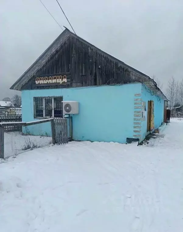 Торговая площадь в Пермский край, Александровск Яйва пгт, ул. Максима ... - Фото 1