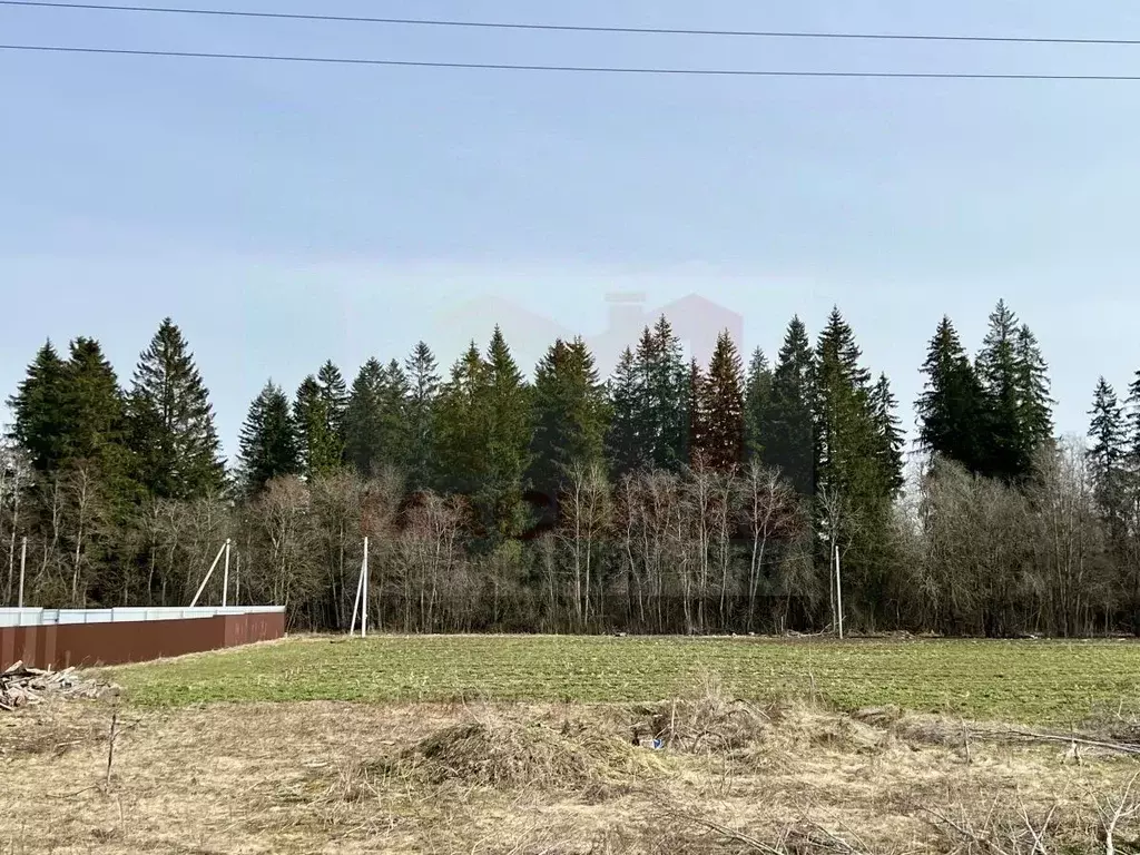 Участок в Ленинградская область, Волосовский район, Калитинское с/пос, ... - Фото 1