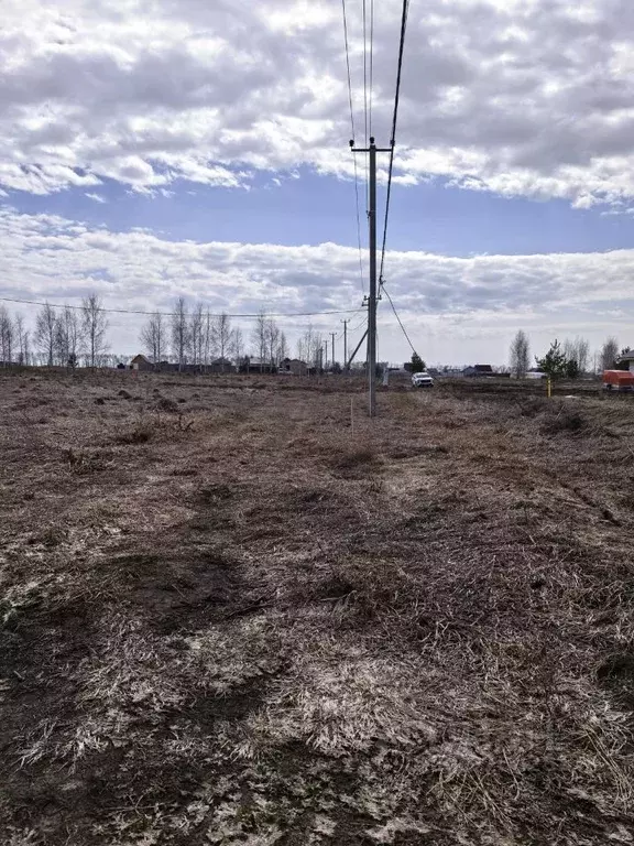 Участок в Новосибирская область, Новосибирский район, Морской ... - Фото 2