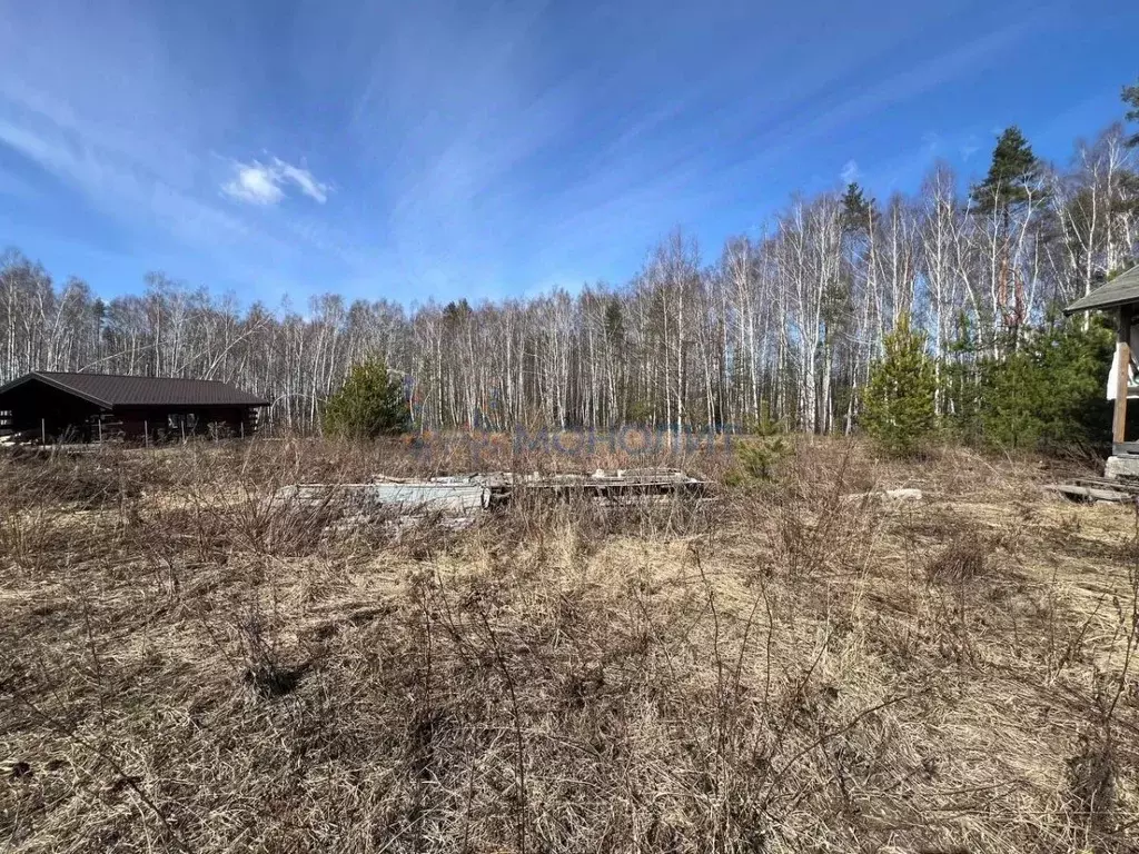 Участок в Нижегородская область, Богородский муниципальный округ, с. ... - Фото 2