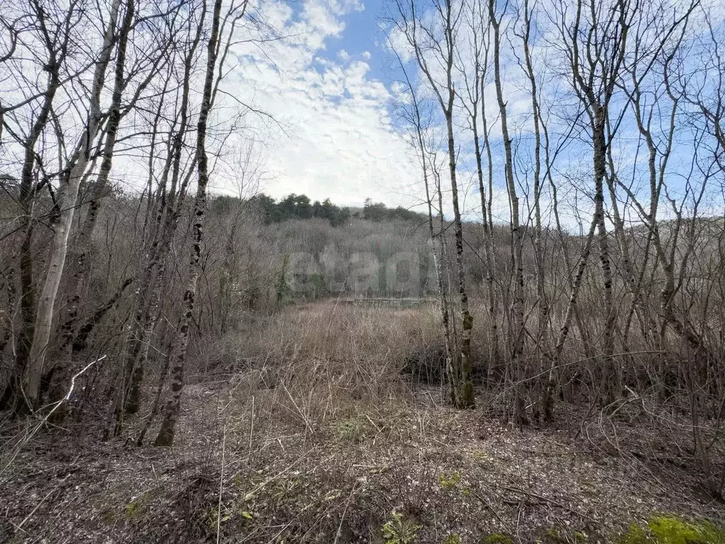 Участок в Краснодарский край, Геленджик городской округ, с. ... - Фото 1