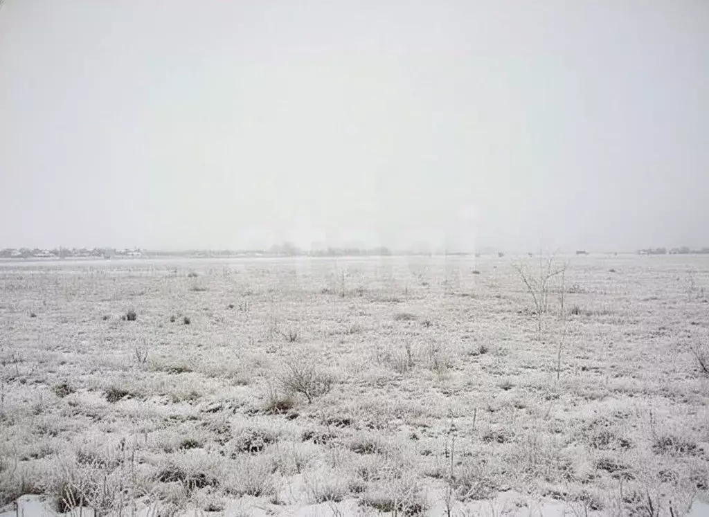 Участок в Тульская область, Щекинский район, Яснополянское с/пос, с. ... - Фото 1