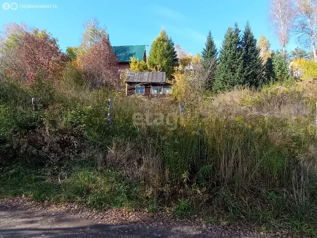 Участок в Барышевский сельсовет, некоммерческое садоводческое ... - Фото 1