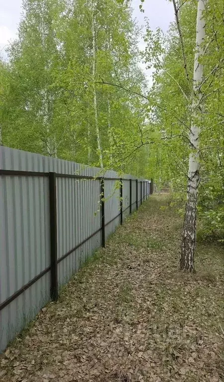 Участок в Новосибирская область, Искитимский район, Быстровский ... - Фото 1