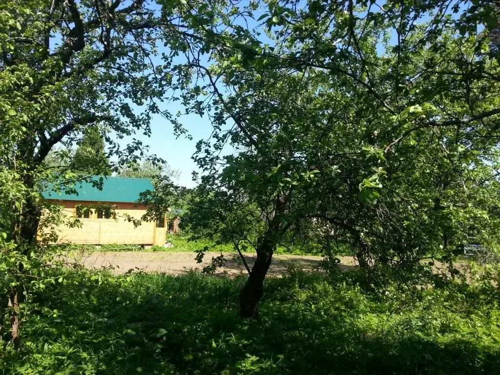 Участок в Ленинградская область, Всеволожский район, Куйвозовское ... - Фото 0