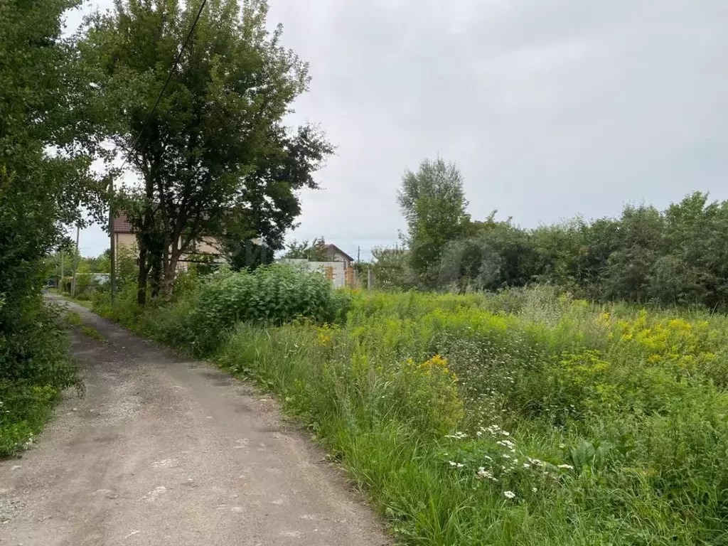 Участок в Калининградская область, Гурьевский муниципальный округ, ... - Фото 2