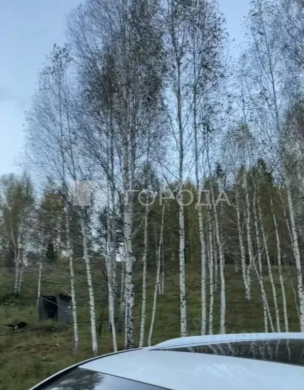Участок в Новосибирская область, Новосибирский район, Новолуговской ... - Фото 0