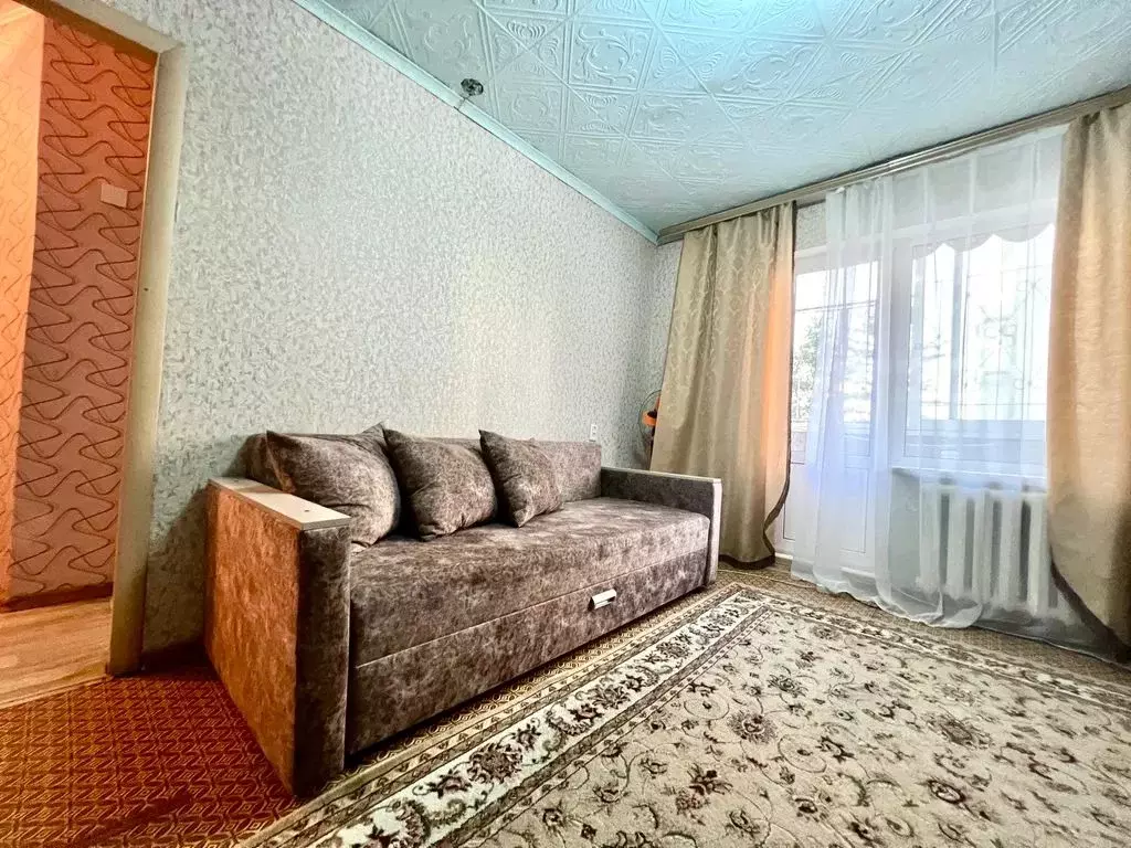 2-к кв. Еврейская автономная область, Биробиджан Набережная ул., 22А ... - Фото 1
