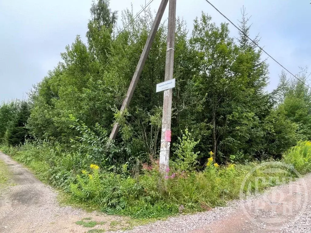Участок в Ленинградская область, Выборгский район, Рощинское городское ... - Фото 2