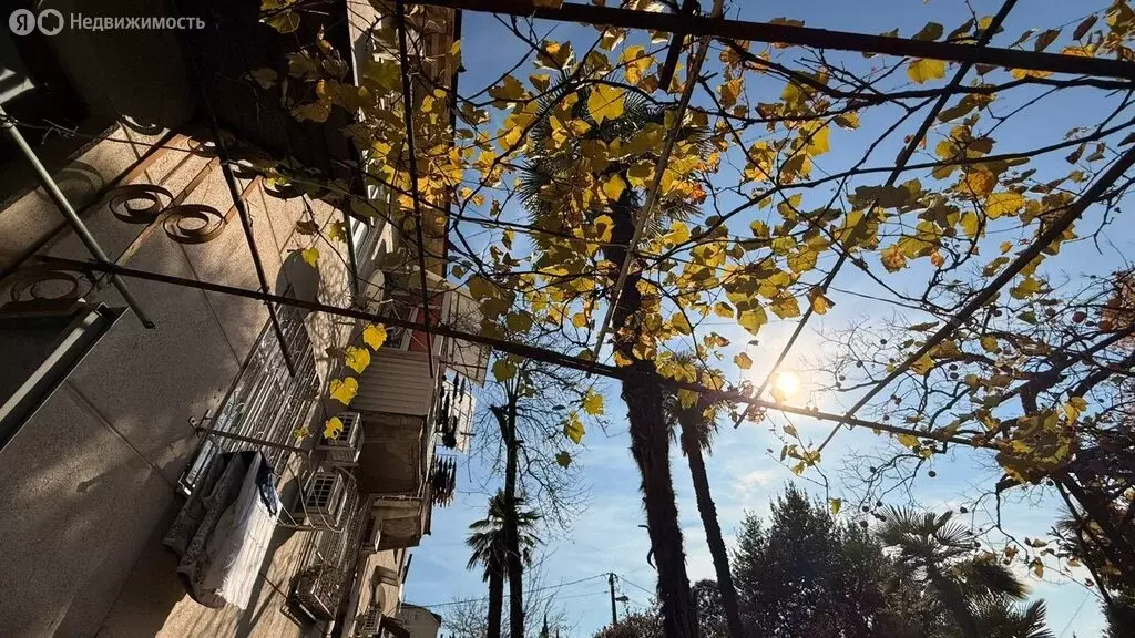 2-комнатная квартира: Сочи, микрорайон Больничный городок, Дагомысская ... - Фото 2