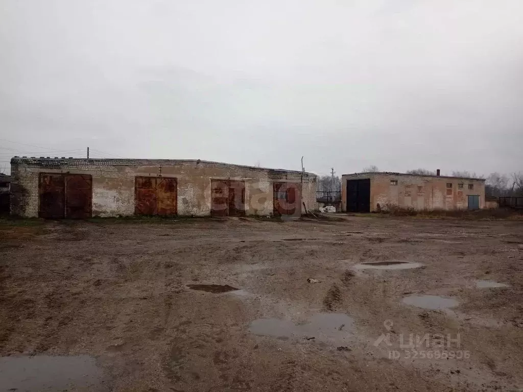 Склад в Липецкая область, Елецкий муниципальный округ, с. Казаки ул. ... - Фото 1