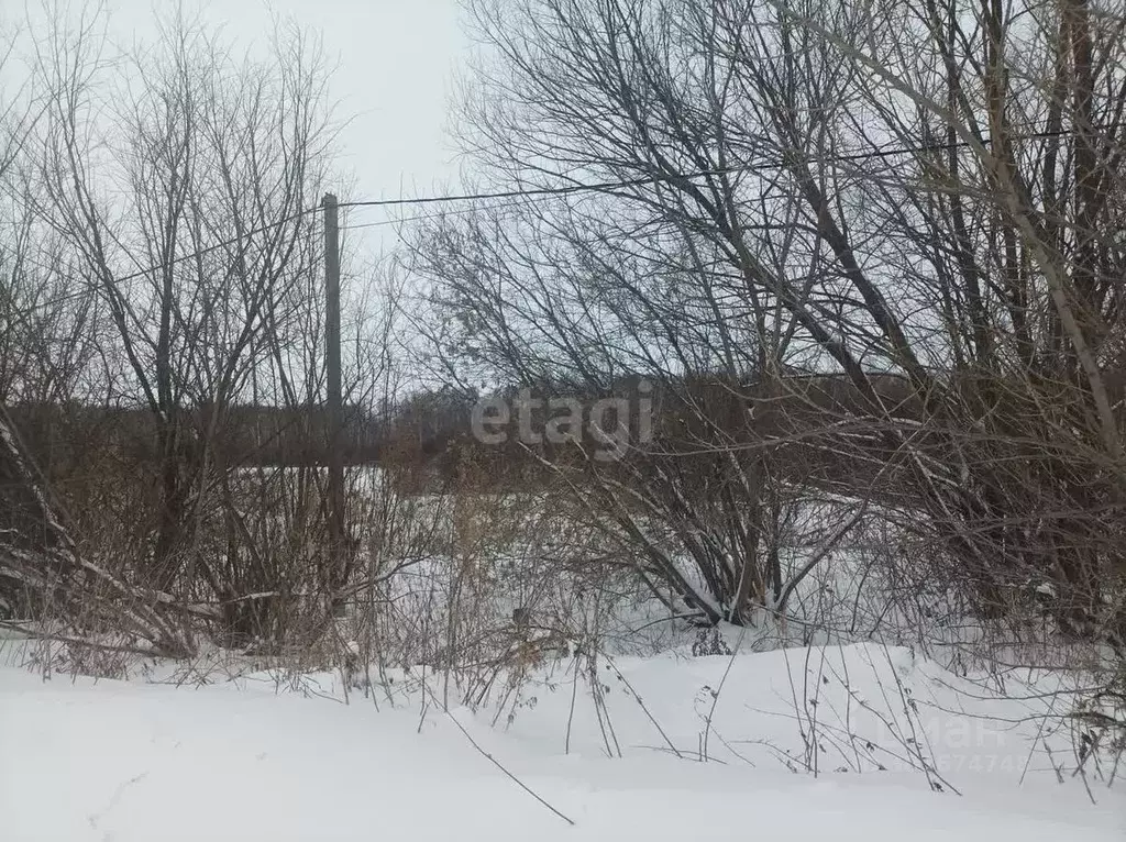 Участок в Томская область, Томск Восход-1 садовое товарищество,  (4.3 ... - Фото 1